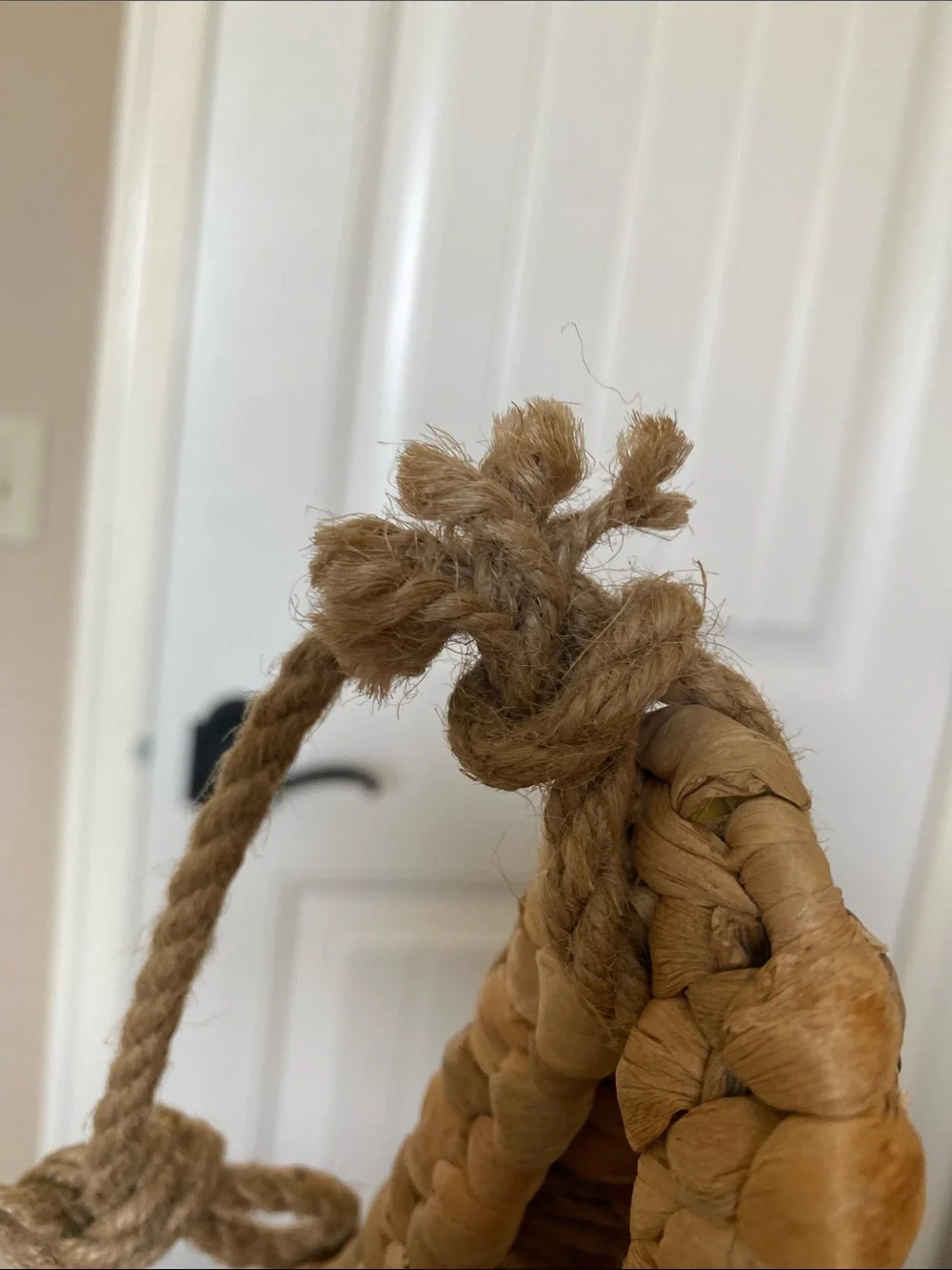 Pottery Barn Kids Brown and White Handwoven Hanging Basket with sloth Detail